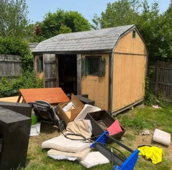 Shed cleanout